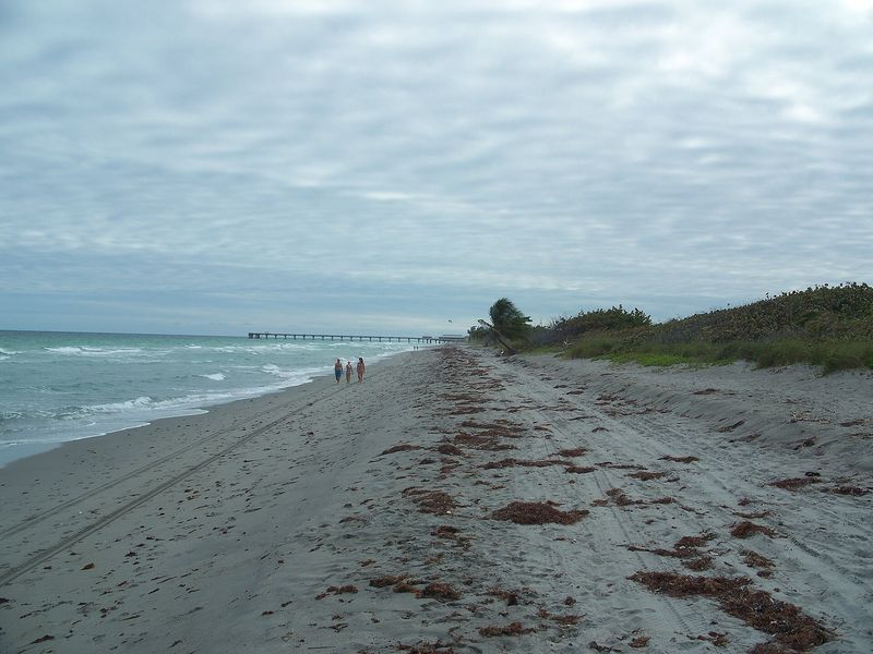 The beach at Dr. Von D. Mizell-Eula Johnson State Park, Dania Beach
