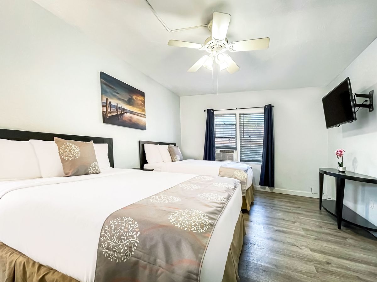 The Palm at Hollywood Beach Hotels, photo 11